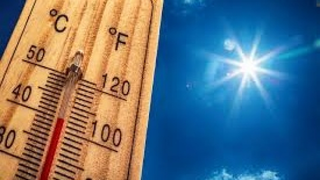 Canicule Canicule