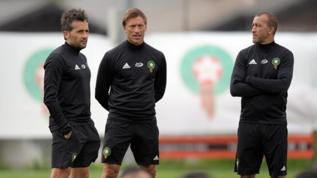 Renard Hadji Beaumelle Renard Hadji Beaumelle