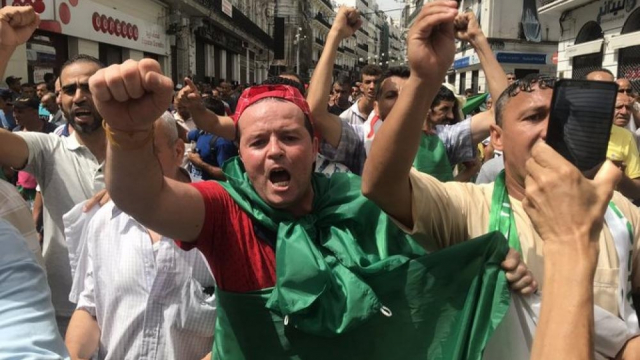 alger alger