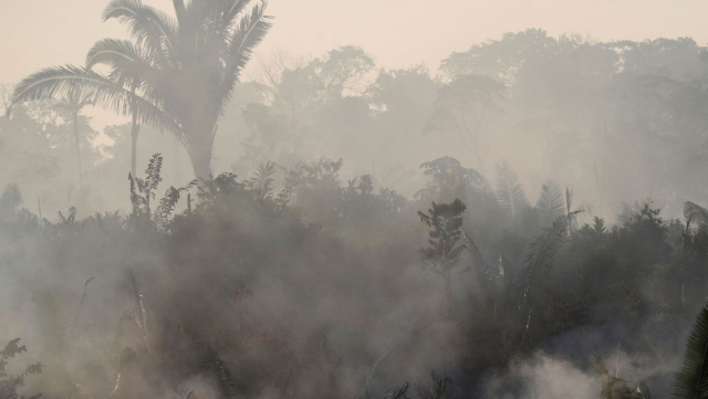 Amazonie incendie Amazonie incendie