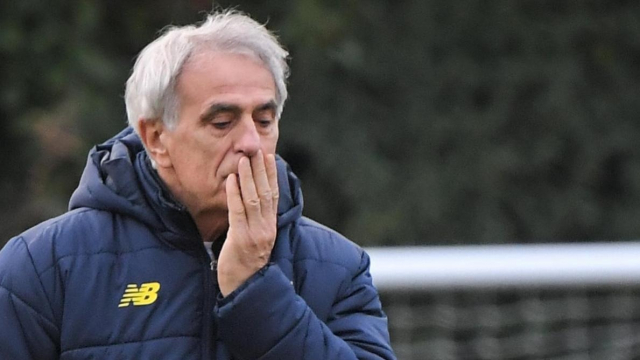Vahid Halilhodzic Vahid Halilhodzic
