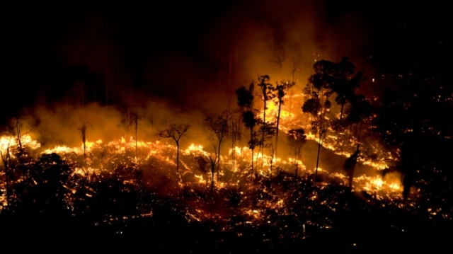 Incendie en Amazonie Incendie en Amazonie