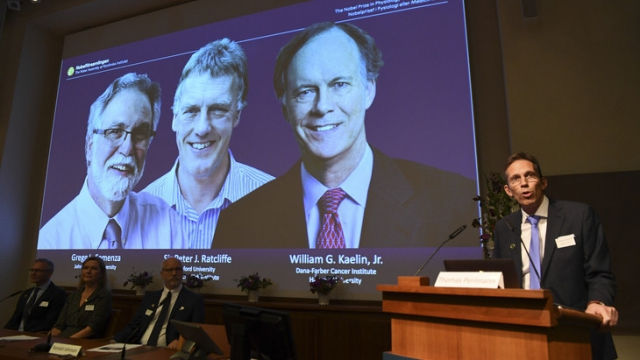 Prix Nobel Prix Nobel