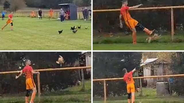 insolite foot Croatie poulet insolite foot Croatie poulet