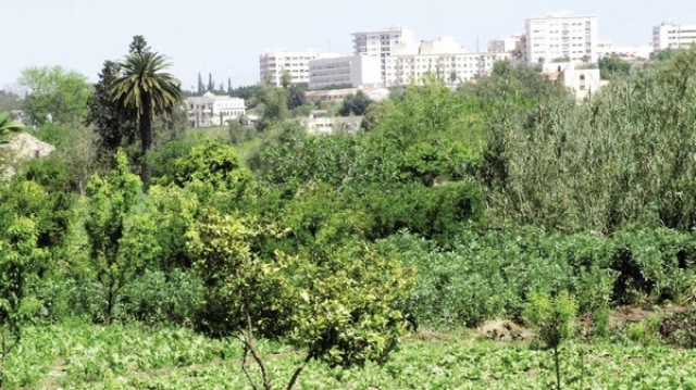 Agriculture urbaine Agriculture urbaine