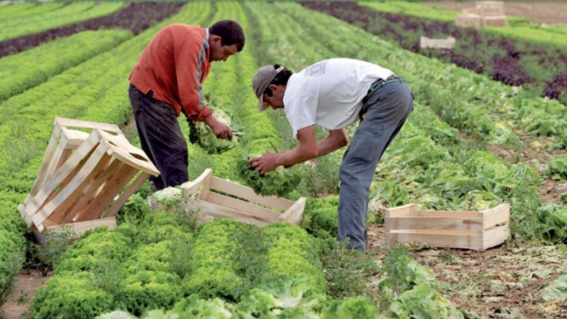 Fiscalité agricole Agriculture Fiscalité agricole Agriculture