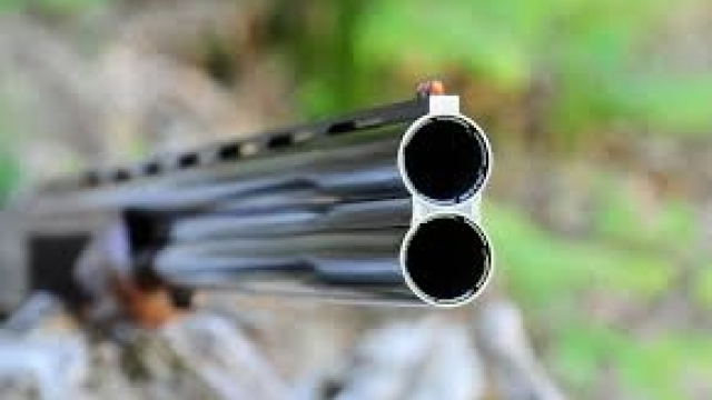 Fusil Fusil