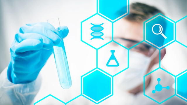 R&D R&D