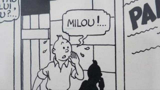 Tintin & Milou Tintin & Milou