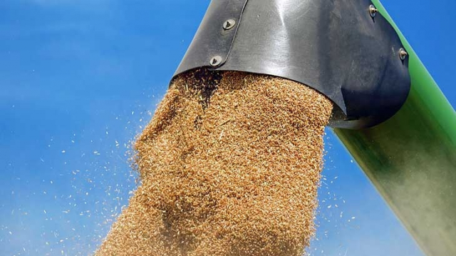 Egypte: 1,1 milliard de dollars de l'ITFC pour éviter les pénuries de produits de base Egypte: 1,1 milliard de dollars de l'ITFC pour éviter les pénuries de produits de base