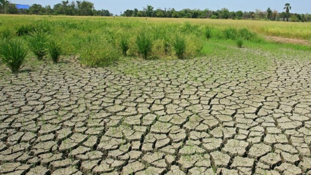 dégradation des sols dégradation des sols
