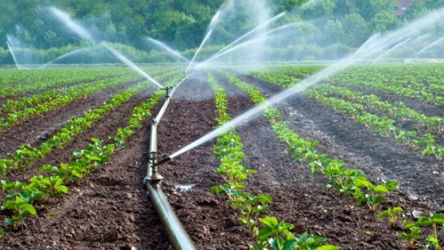 Irrigation Irrigation