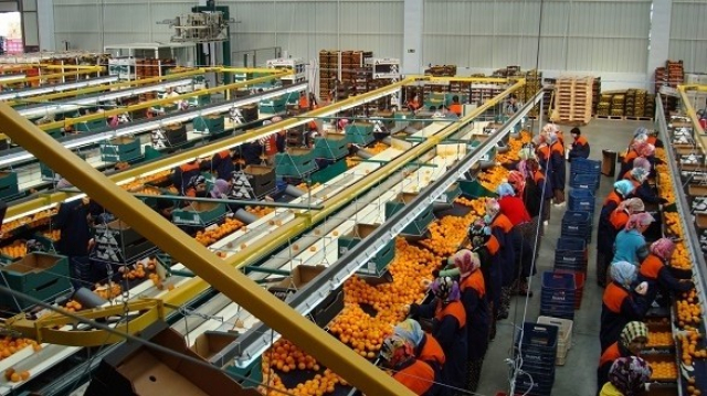 Agro-industrie Agro-industrie