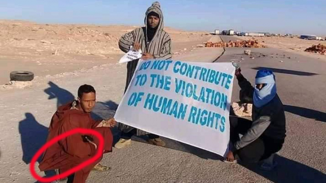 polisario polisario