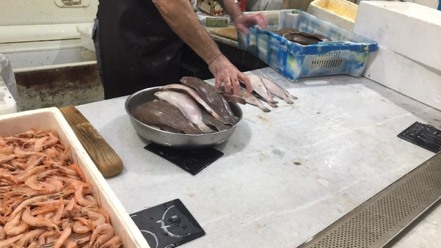 Marché au poisson de sebta Marché au poisson de sebta
