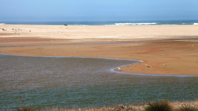 Estuaire Oued Massa Estuaire Oued Massa