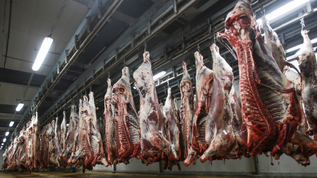 Abattoirs viande bouchers Abattoirs viande bouchers