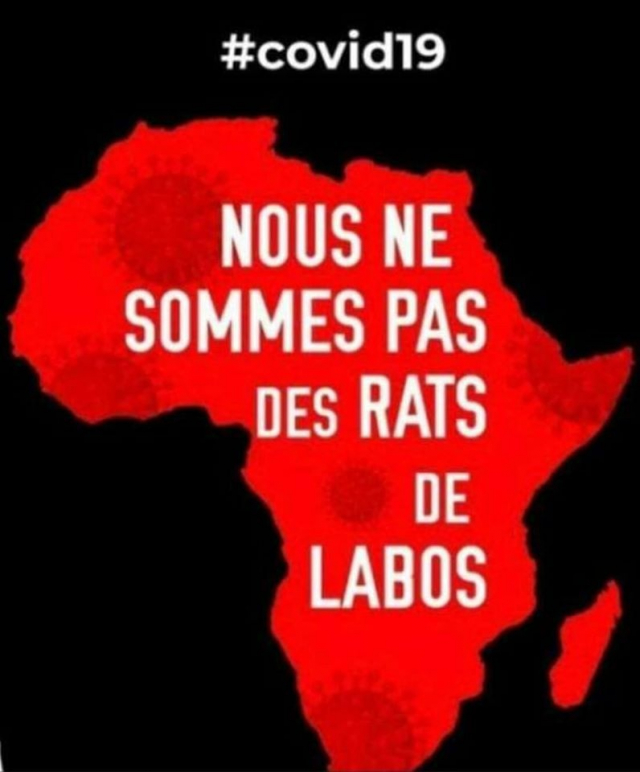 nous ne sommes pas des rats de labo nous ne sommes pas des rats de labo