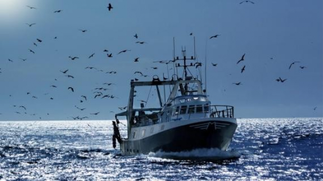 Pêche Pêche