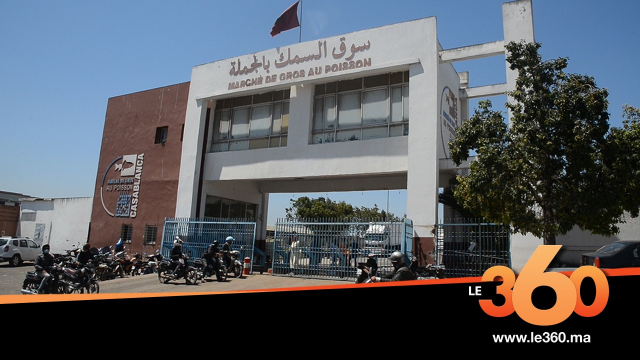 cover vidéo :Le360.ma • كورونا ترهب تجار سوق السمك بالجملة بالدارالبيضاء cover vidéo :Le360.ma • كورونا ترهب تجار سوق السمك بالجملة بالدارالبيضاء