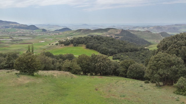Azrou - Plateau basaltique - Azrou - Plateau basaltique -