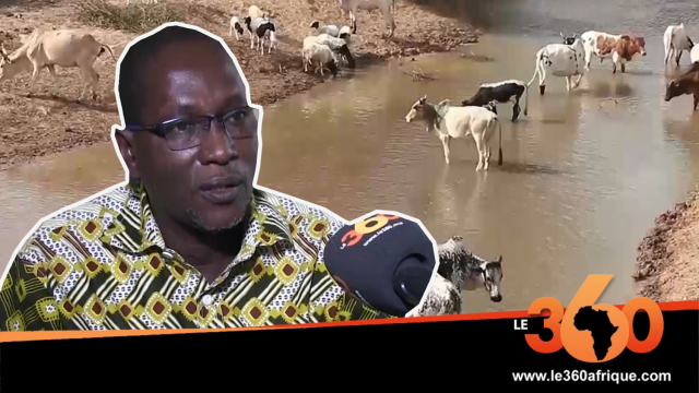 Vidéo. Mauritanie: quel est l'impact de la pandémie du Covid-19 sur le monde agro-pastoral? Vidéo. Mauritanie: quel est l'impact de la pandémie du Covid-19 sur le monde agro-pastoral?