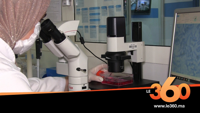 Cover_Vidéo: Découvrez la mission du laboratoire biotechnologique sur l’identification du génome du covid19 Maroc Cover_Vidéo: Découvrez la mission du laboratoire biotechnologique sur l’identification du génome du covid19 Maroc