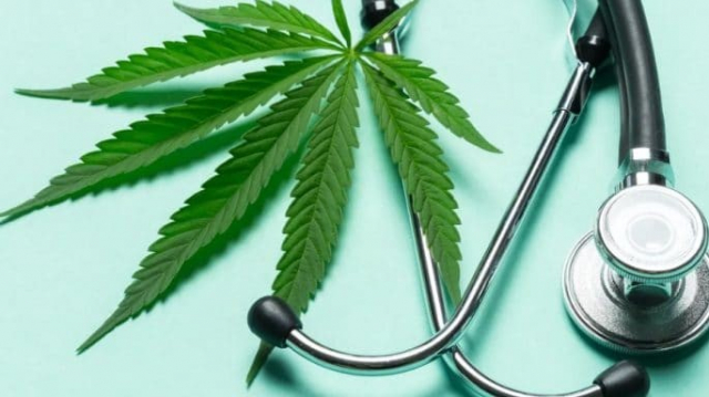 Le Cannabis médical contre la Covid-19 Le Cannabis médical contre la Covid-19