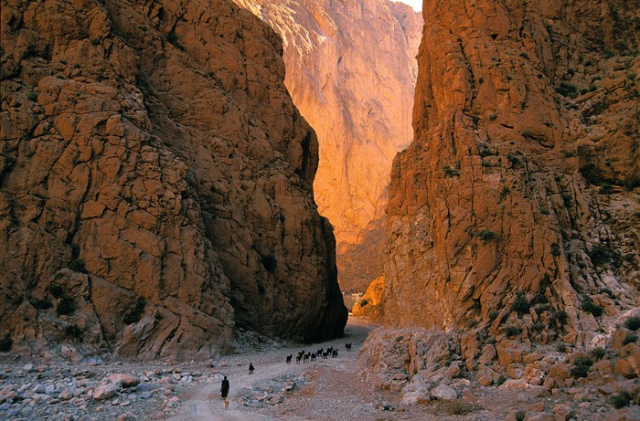 Les Gorges du Todgha. Les Gorges du Todgha.