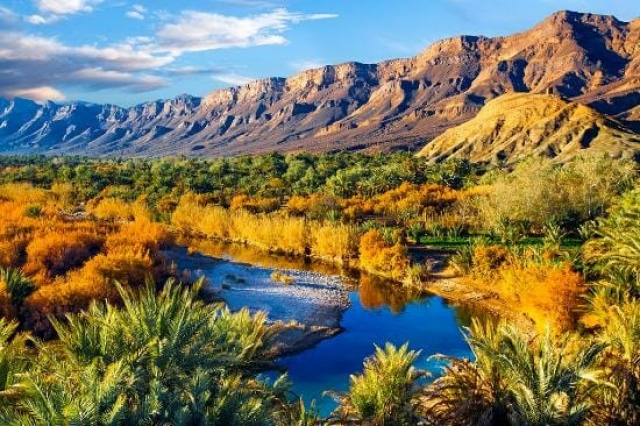 L'Oasis de Fint. L'Oasis de Fint.