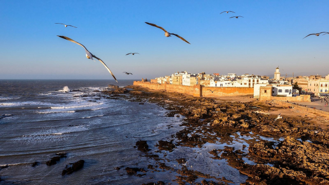 Meteo Journee De Canicule Temps Nuageux Pres Des Cotes Et Dans Plusieurs Regions Du Maroc Ce Mardi 7 Juillet 2020 Www Le360 Ma