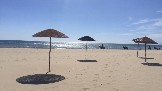 Plage Plage