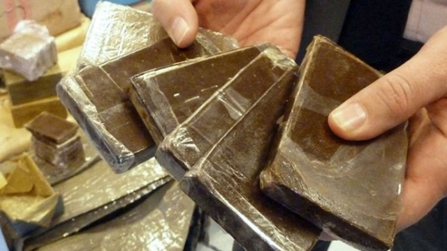 Drogue Hashish Drogue Hashish
