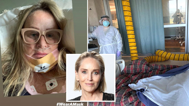 Sharon Stone et sa soeur, Kelly, atteinte du Covid-19 Sharon Stone et sa soeur, Kelly, atteinte du Covid-19
