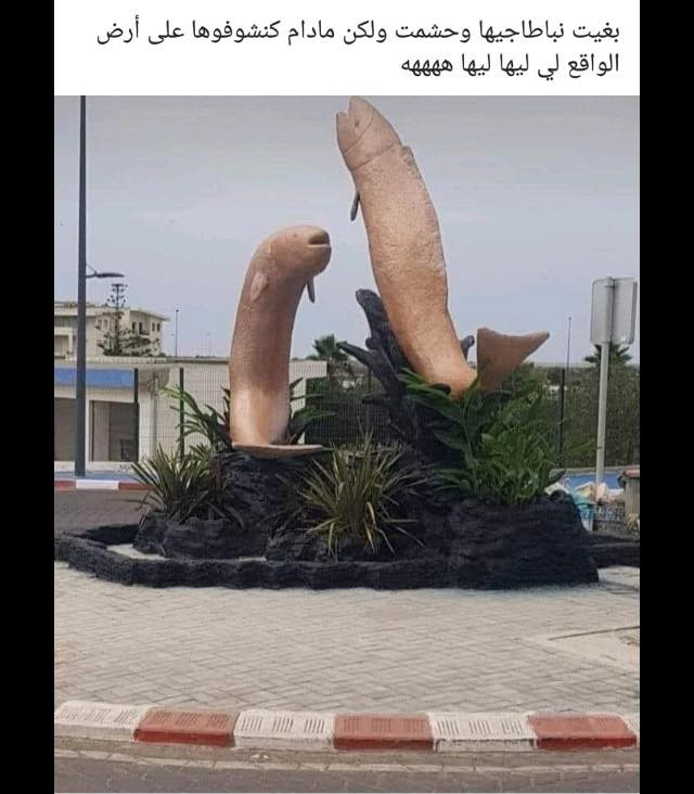 La réaction de la toile marocaine face à la sculpture de poissons pénis La réaction de la toile marocaine face à la sculpture de poissons pénis