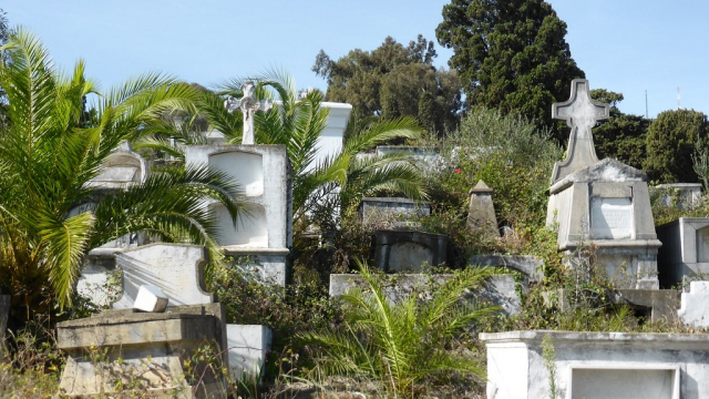 Cimetière Cimetière