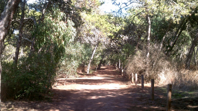 Forêt de Harhoura Forêt de Harhoura