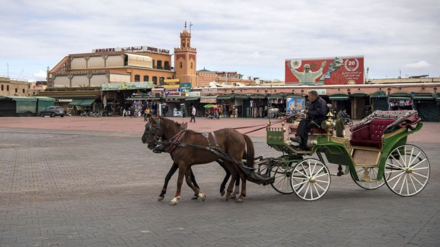 Marrakech Marrakech