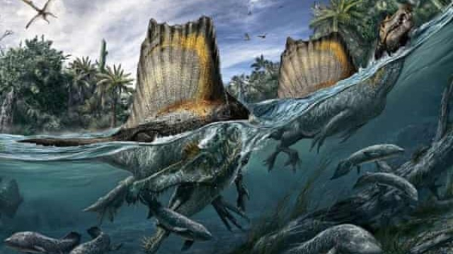 Le dinosaure Spinosaurus, un géant aquatique Le dinosaure Spinosaurus, un géant aquatique