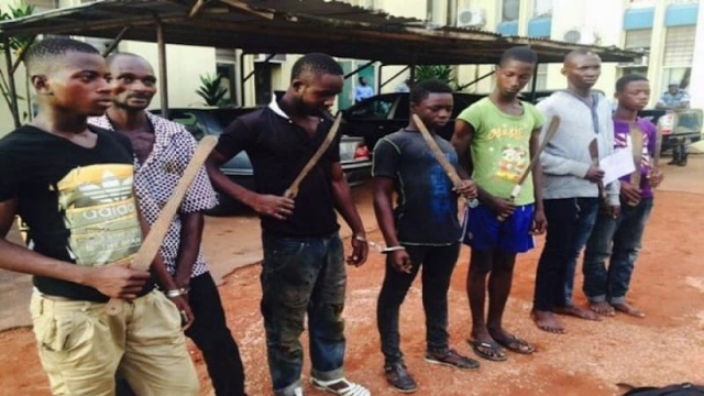 Cameroun: Douala infestée de "Microbes" d'une violence inouie Cameroun: Douala infestée de "Microbes" d'une violence inouie