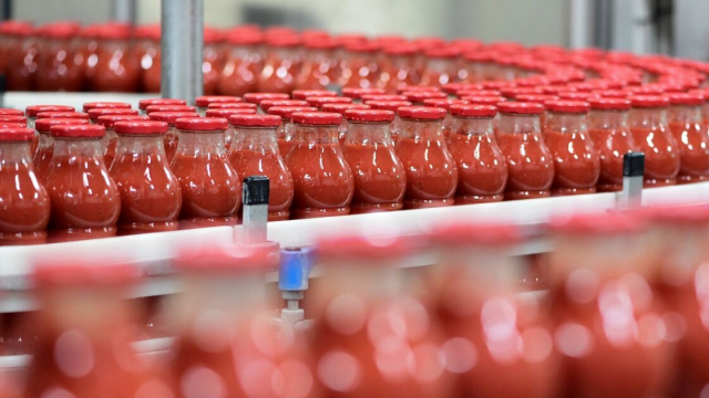 Usine concentré de tomate Usine concentré de tomate