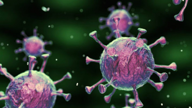 coronavirus coronavirus