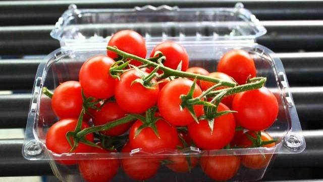 Tomates-cerises en barquette Tomates-cerises en barquette