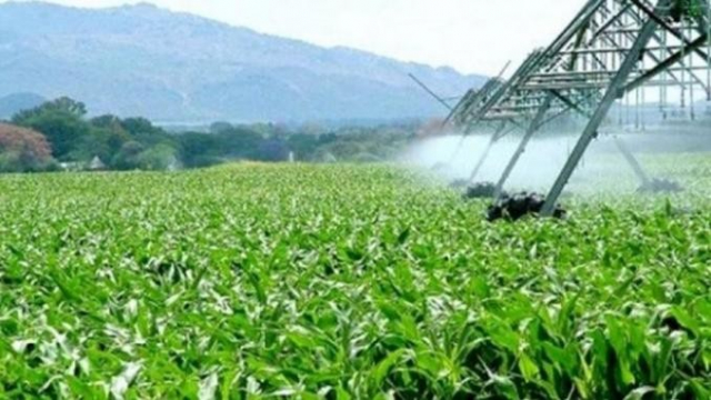 Agriculture Agriculture