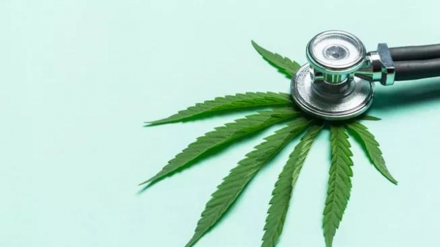 cannabis médical cannabis médical
