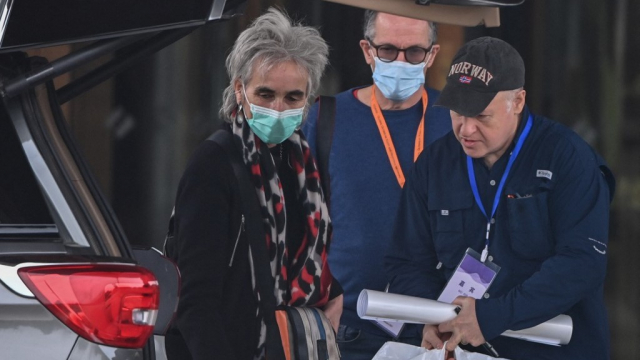 OMS - Equipe d'experts - coronavirus - Wuhan - Enquête OMS - Equipe d'experts - coronavirus - Wuhan - Enquête
