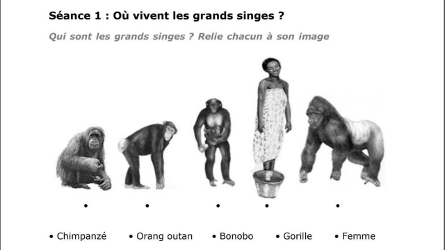 Devoir raciste Devoir raciste