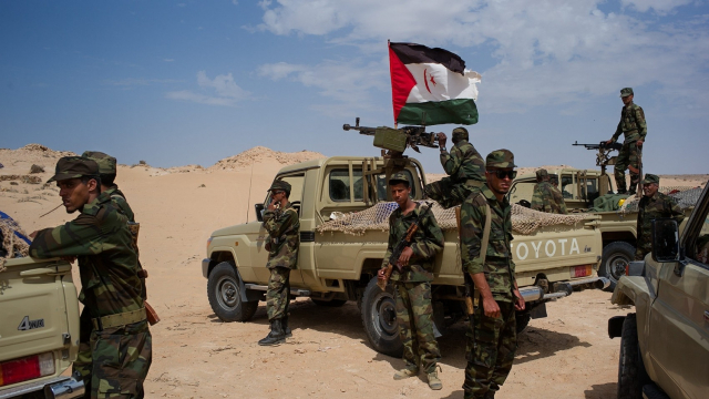 Polisario Sahara Polisario Sahara