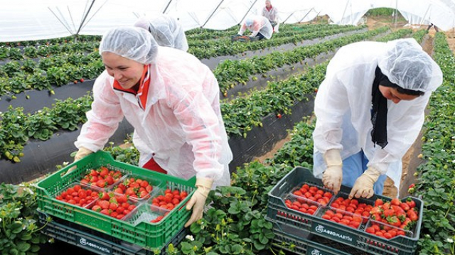 Agriculture entrepreneuriat Agriculture entrepreneuriat