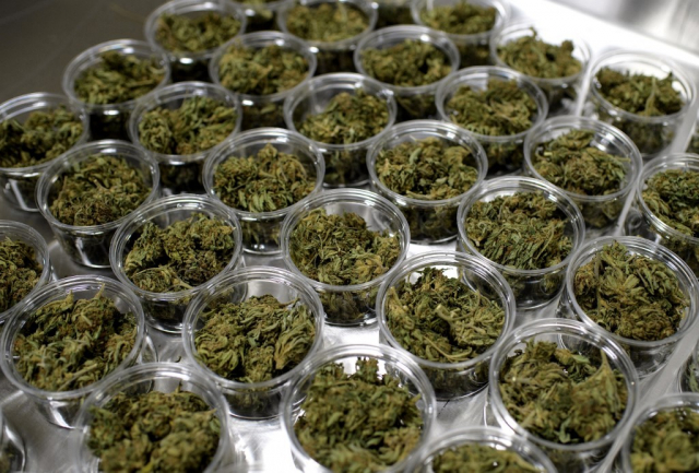 Cannabis légal - Etats-Unis - Usine de conditionnement - New York Cannabis légal - Etats-Unis - Usine de conditionnement - New York